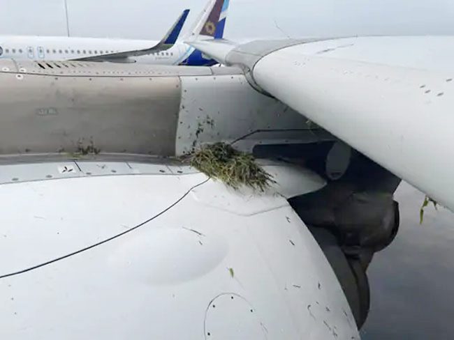 Air India Flight Skids at Mumbai Airport Amid Heavy Rain, Passengers Safe
