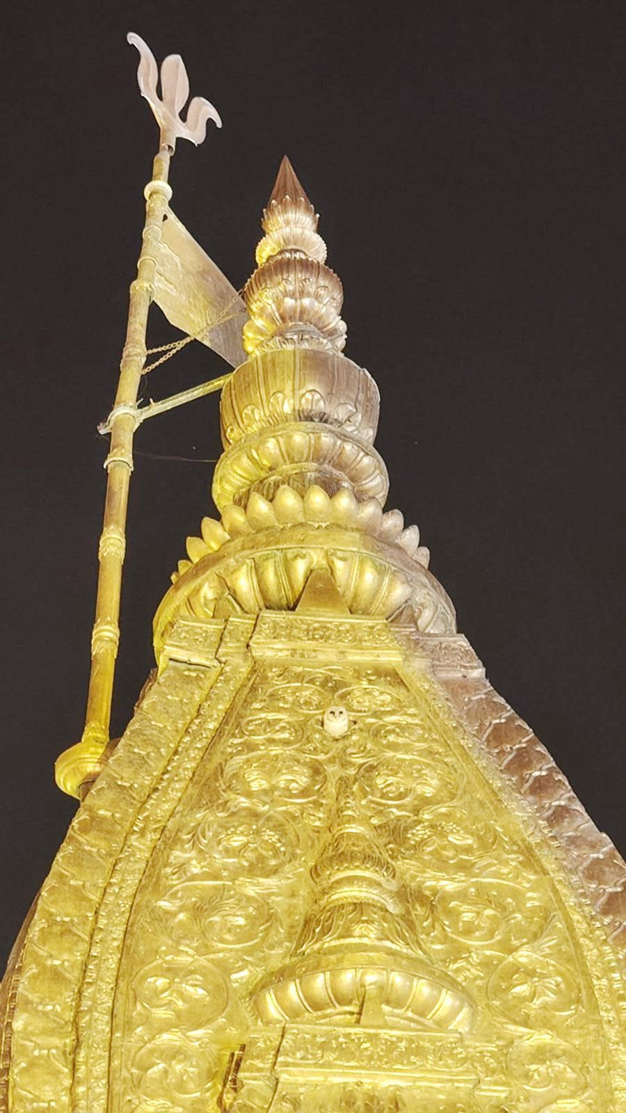 White owl spotted during Saptarishi Aarti at Kashi Vishwanath Temple, seen perched on golden spire