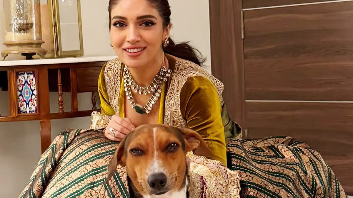 Bhumi Pednekar Calls Supreme Court’s Stray Dog Order Inhumane and Dangerous