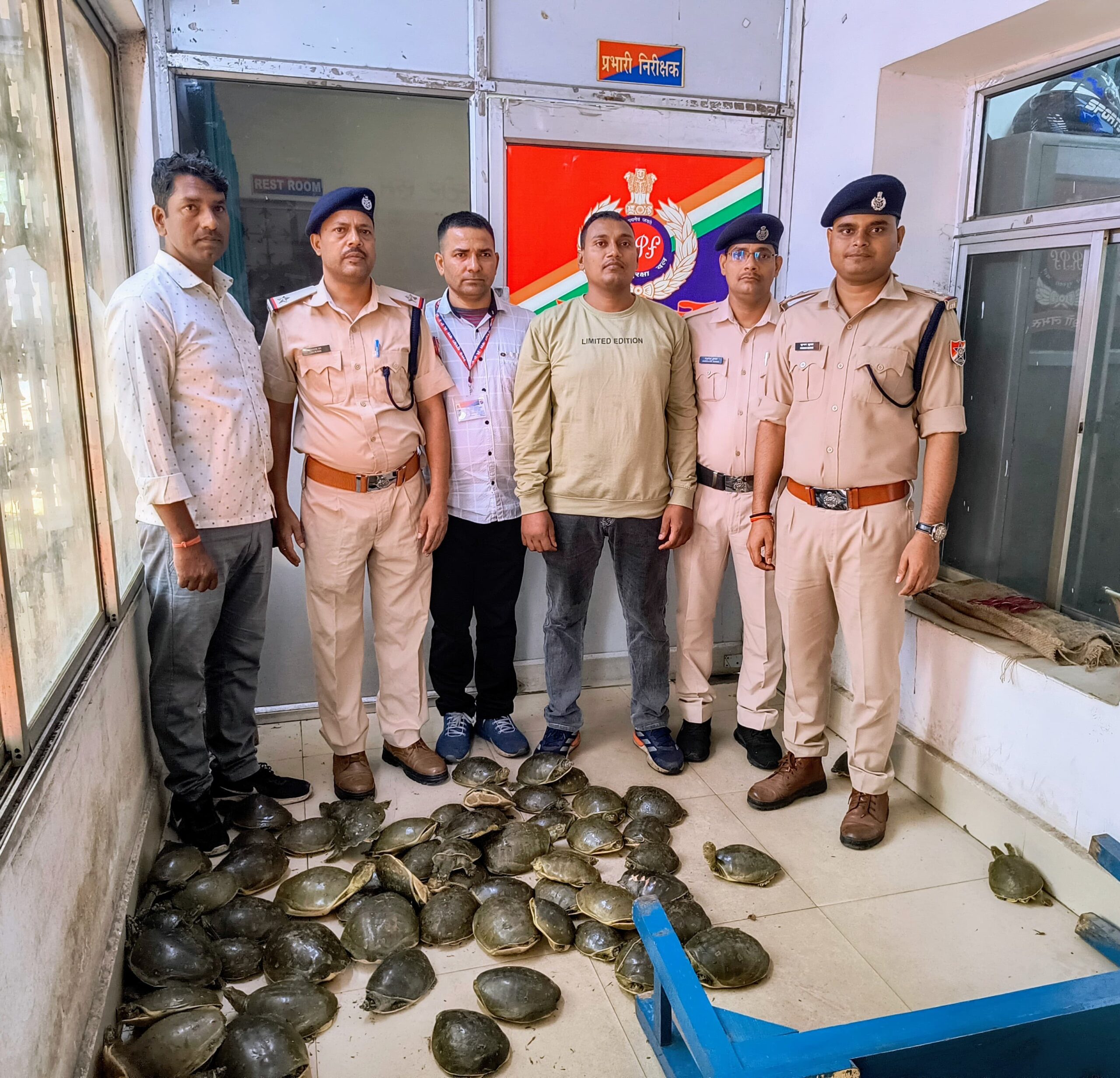 78 Live Turtles Worth ₹7.8 Lakh Seized from Doon Express in Dhanbad