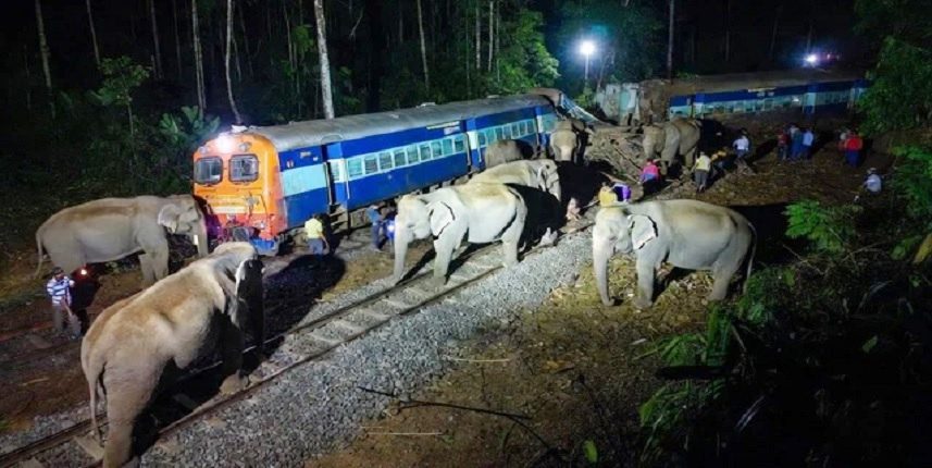 Rajdhani Express Derails After Hitting Elephants in Assam