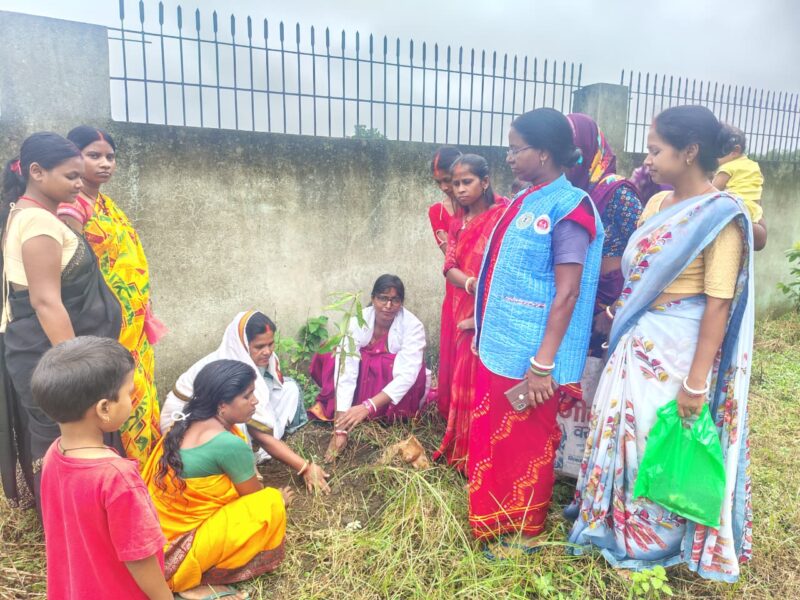 Tree Plantation Drive Held at Ayushman Arogya Mandir in Dulmi Block