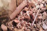 Old Silver Coins Found in Debris After Mud House Collapses Due to Heavy Rain in Hazaribagh