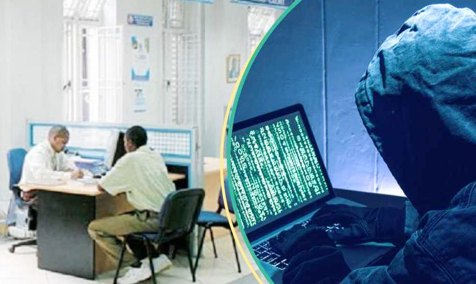 Bihar Cyber Crime: Patna-Champaran Emerge as Major Hubs of Suspicious Mule Accounts