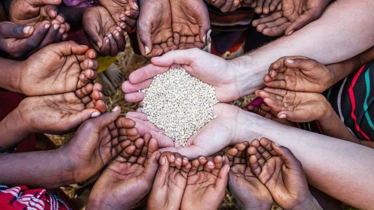 Global Food Crisis: JP Morgan Warns of Higher Food Inflation in 2027