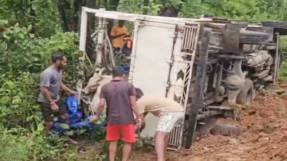 Chatra Accident: Pickup Carrying Cattle Overturns, 15 Animals Die