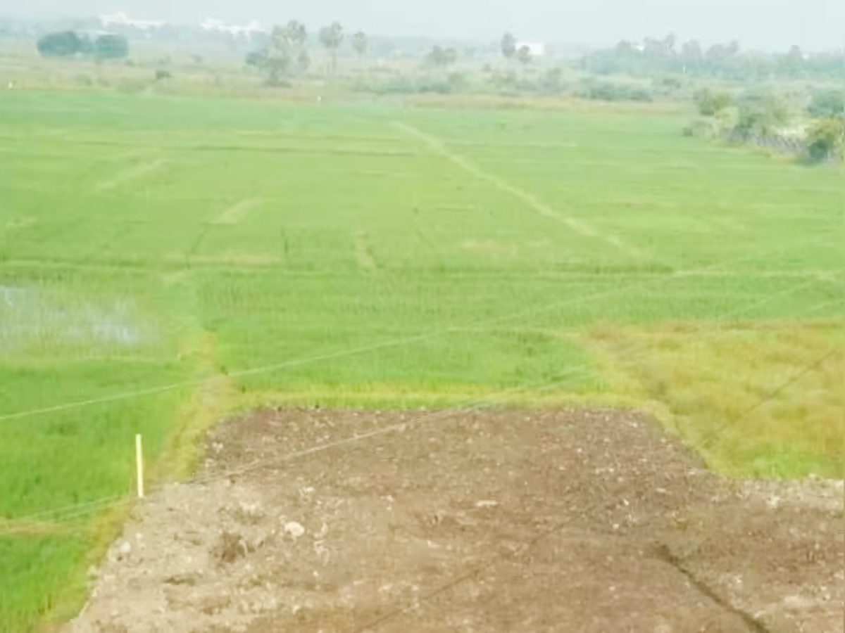 Bihar Government Gift on Independence Day: 30,000 Landless Families to Get 3 Decimals of Land