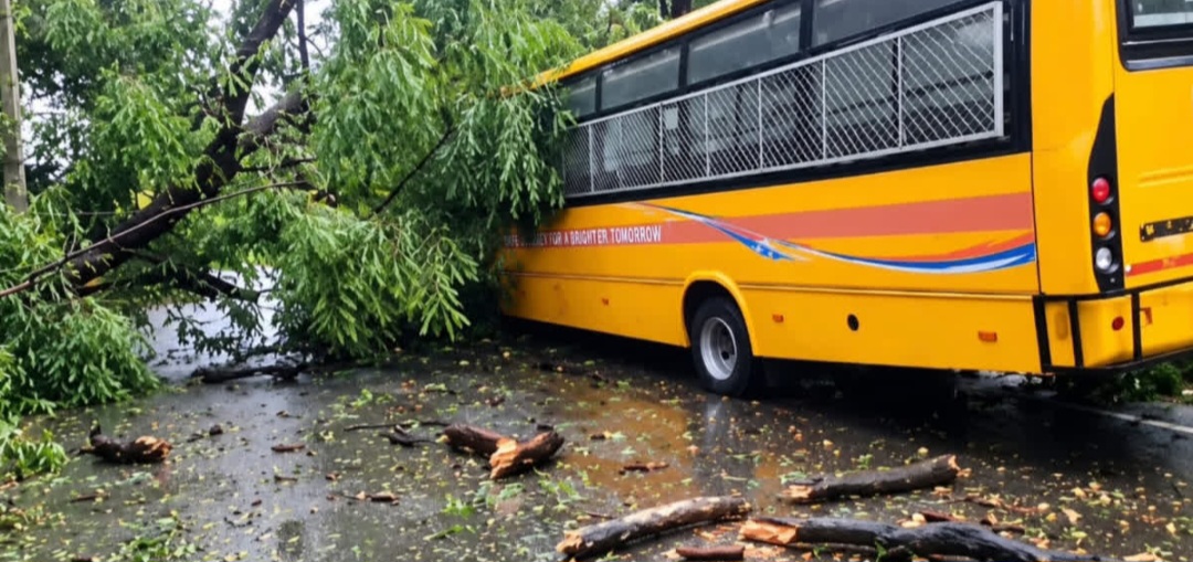 Major Accident Averted in Ranchi as Tree Falls on School Bus