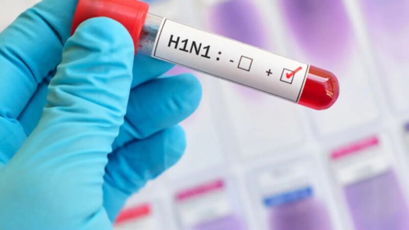 Jharkhand H1N1 Alert: 36 Cases Reported in 30 Days, Health Dept on Alert